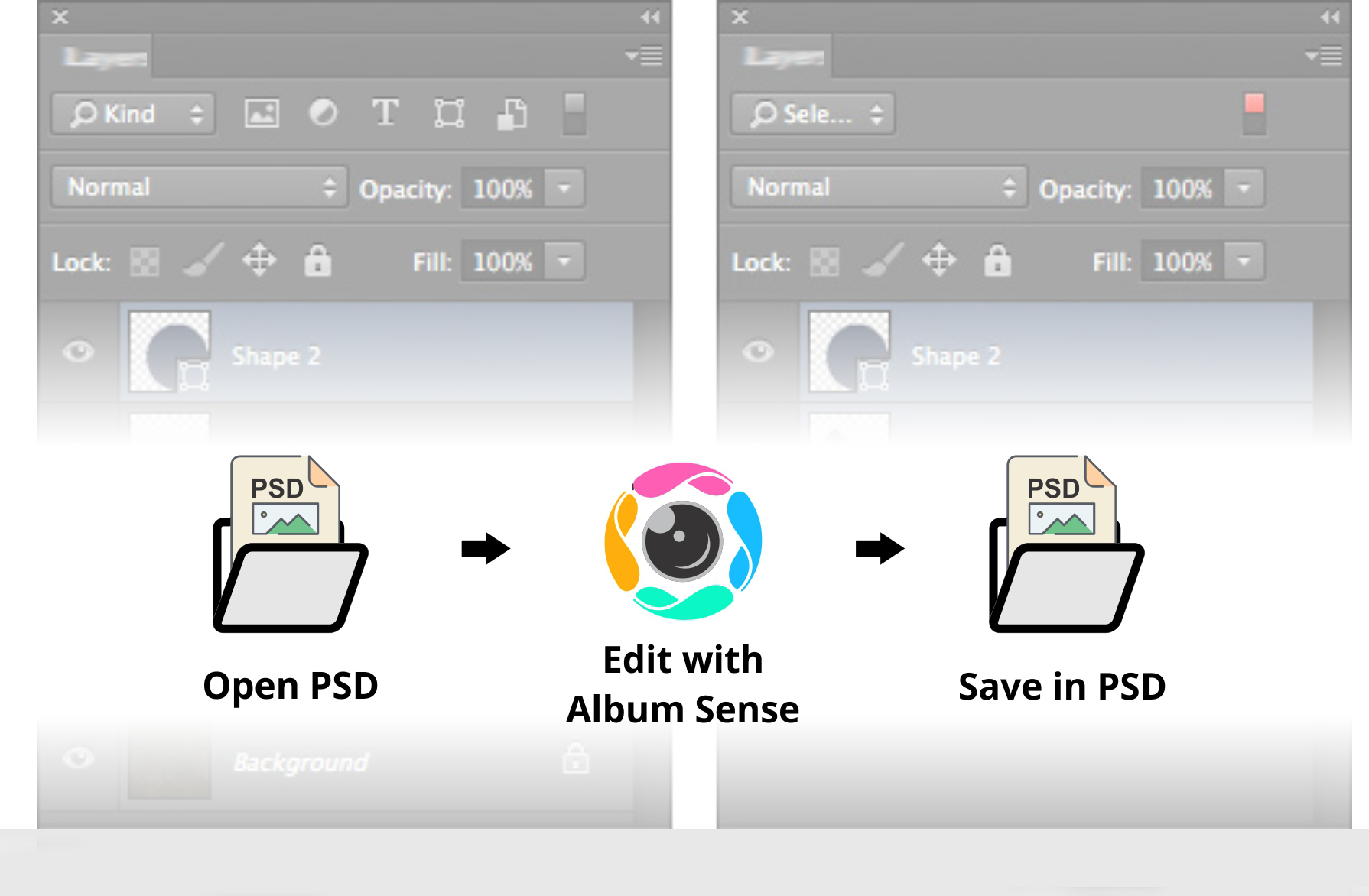 ALBUM SENSE Insidelogic Pvt. Ltd.